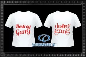 In áo phông nhóm, may áo phông nhóm Destroy Gang